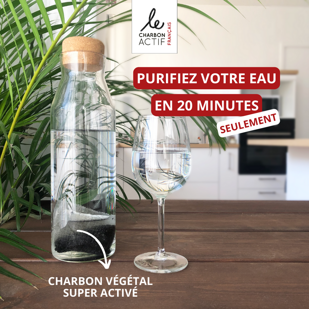 Carafe filtrante en verre 1 L au charbon actif végétal