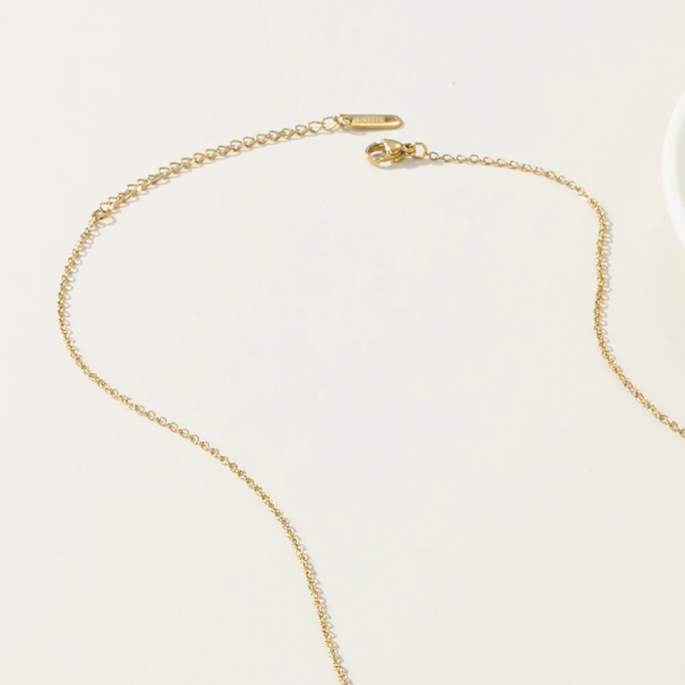 Chaîne en acier inoxydable