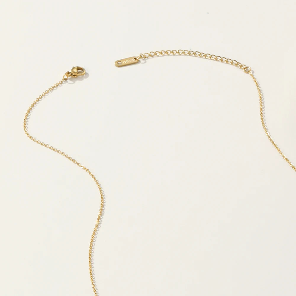 Chaîne en acier inoxydable